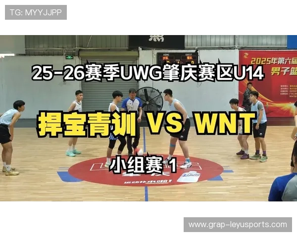 篮球青训体系科学管理持续完善，篮球青训体系科学管理持续完善的措施